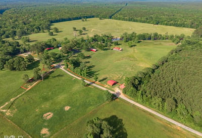 Expansive acreage features lush landscapes, multiple structures, and endless possibilities for custom development or recreation.