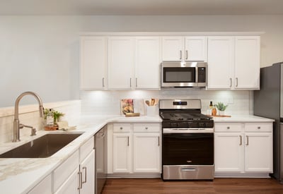 6728 Pierless Avenue, Sugar Hill, GA