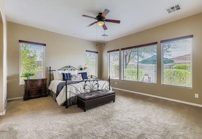 Oversized primary suite with multiple windows offers natural light and peaceful backyard views in this spacious Peoria home.