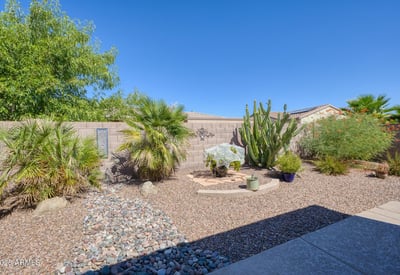 A tranquil backyard blending lush greenery and desert elements, creating a serene, private retreat perfect for outdoor living.