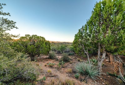 A wide view of natural desert foliage and mountain silhouettes showcases the untouched beauty of the property. Ideal for nature lovers seeking space and serenity.