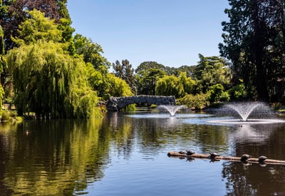 Beacon Hill Park