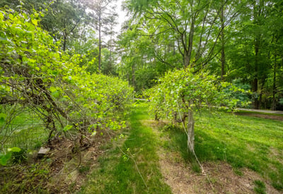 1800 Chestnut Lane, Matthews, NC