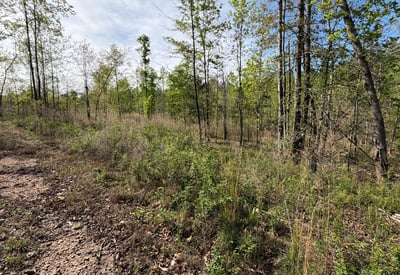 2125 Hwy 247, Belton, SC