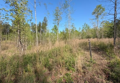 2125 Hwy 247, Belton, SC