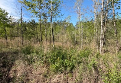 2125 Hwy 247, Belton, SC