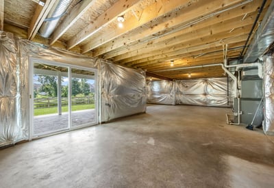Walkout Basement with Potential