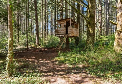 21825 S Lewellen Rd, Beavercreek, OR