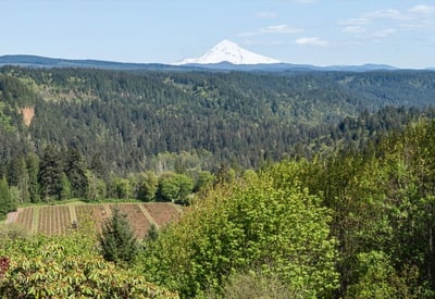 7428 SE Cottrell Rd, Gresham, OR