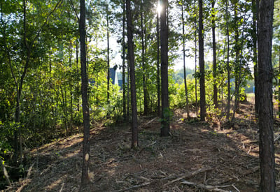 133 Addison Emory Lane, Mooresville, NC