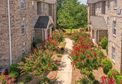 The Phoenix Apartments of Elon, Elon, NC