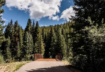 108 Ginger Quill Lane, Breckenridge, CO