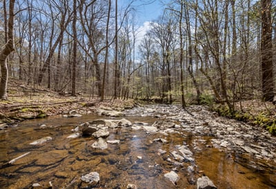 825 Oxbow Crossing, Chapel Hill, NC