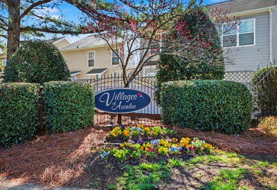 8411 Chaceview Ct. Charlotte NC 28629, Charlotte, NC