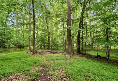 Secluded wooded lot offering abundant shade and natural beauty, perfect for building your dream home.