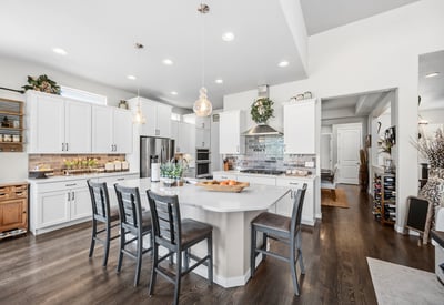 16297 Forest Cloud Way, Monument, CO