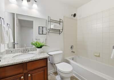 Contemporary bathroom featuring modern fixtures, a spacious vanity, and neutral tile for a clean, fresh look.