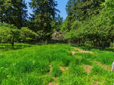 3511 Quade Road, Clinton, WA