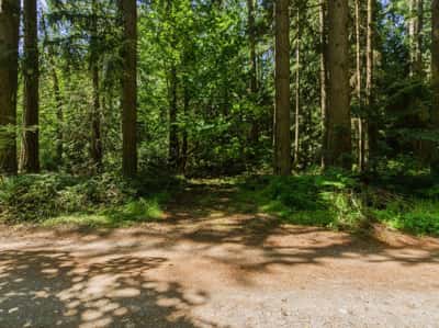 3511 Quade Road, Clinton, WA