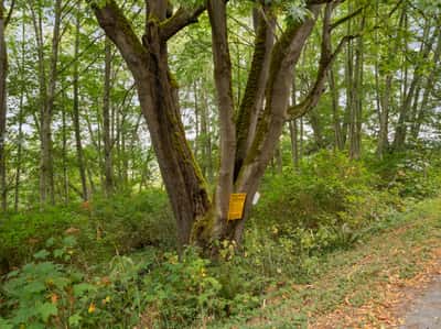 3327 Burley Road, Clinton, WA