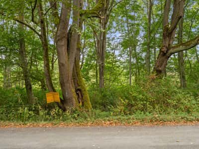 3327 Burley Road, Clinton, WA