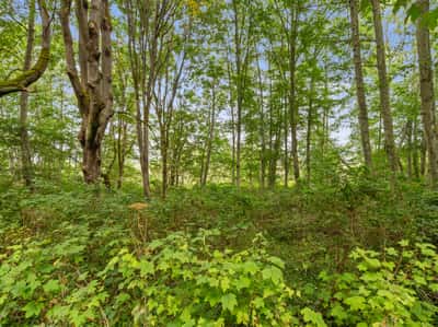 3327 Burley Road, Clinton, WA