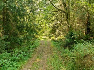 7495 Jewett Road, Clinton, WA