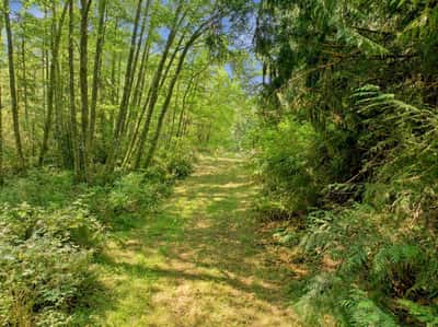7495 Jewett Road, Clinton, WA
