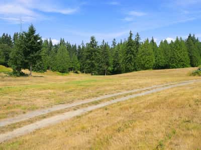 7495 Jewett Road, Clinton, WA