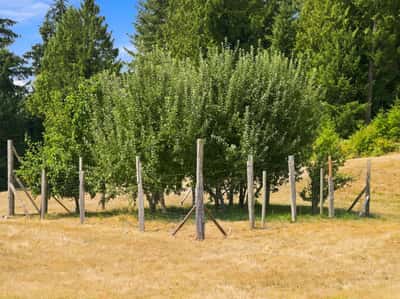 7495 Jewett Road, Clinton, WA