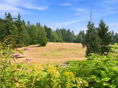 7495 Jewett Road, Clinton, WA