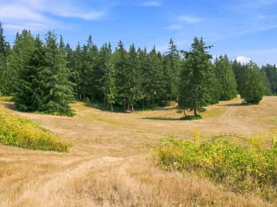 7495 Jewett Road, Clinton, WA