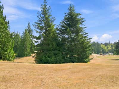 7495 Jewett Road, Clinton, WA