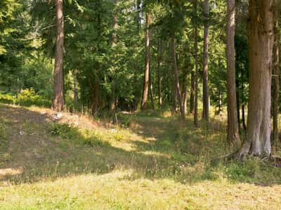 7495 Jewett Road, Clinton, WA