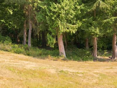 7495 Jewett Road, Clinton, WA