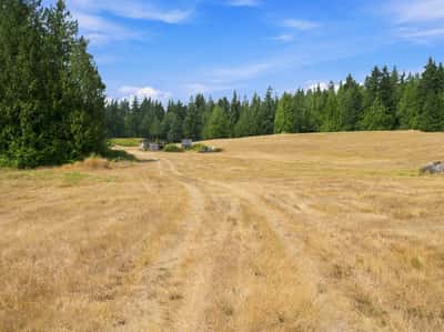 7495 Jewett Road, Clinton, WA