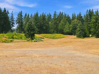 7495 Jewett Road, Clinton, WA