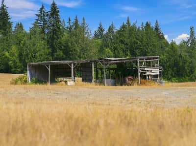 7495 Jewett Road, Clinton, WA