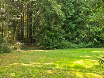 7495 Jewett Road, Clinton, WA