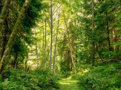 7495 Jewett Road, Clinton, WA