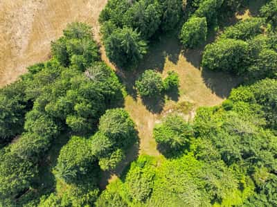 7495 Jewett Road, Clinton, WA