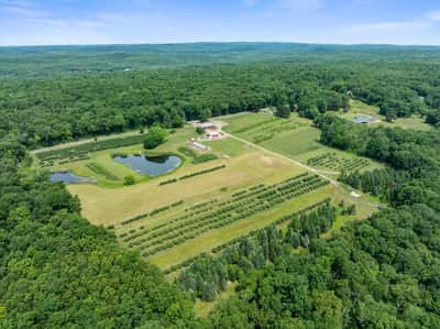 317 Bebbington Road, Ashford, CT