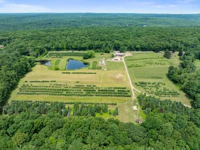 317 Bebbington Road, Ashford, CT