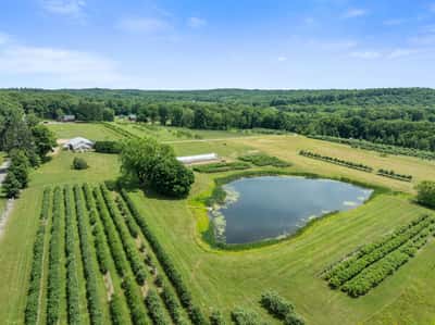 317 Bebbington Road, Ashford, CT