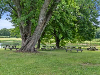 317 Bebbington Road, Ashford, CT