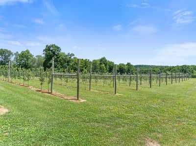 317 Bebbington Road, Ashford, CT