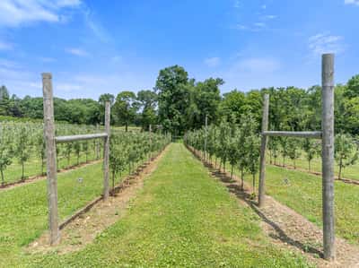 317 Bebbington Road, Ashford, CT