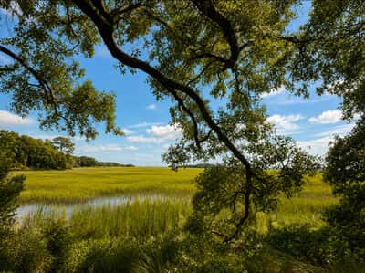 71 Tropicana Road, St. Helena Island, SC