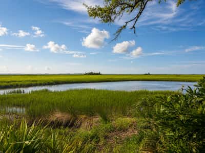 71 Tropicana Road, St. Helena Island, SC