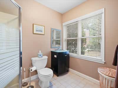 245 Cotton Field Court, Alpharetta, GA